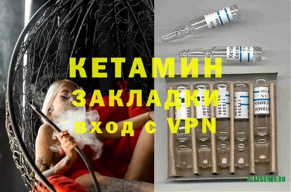 сатива Волоколамск