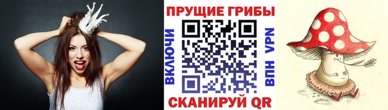 Галлюциногенные грибы мухоморы  Черепаново 